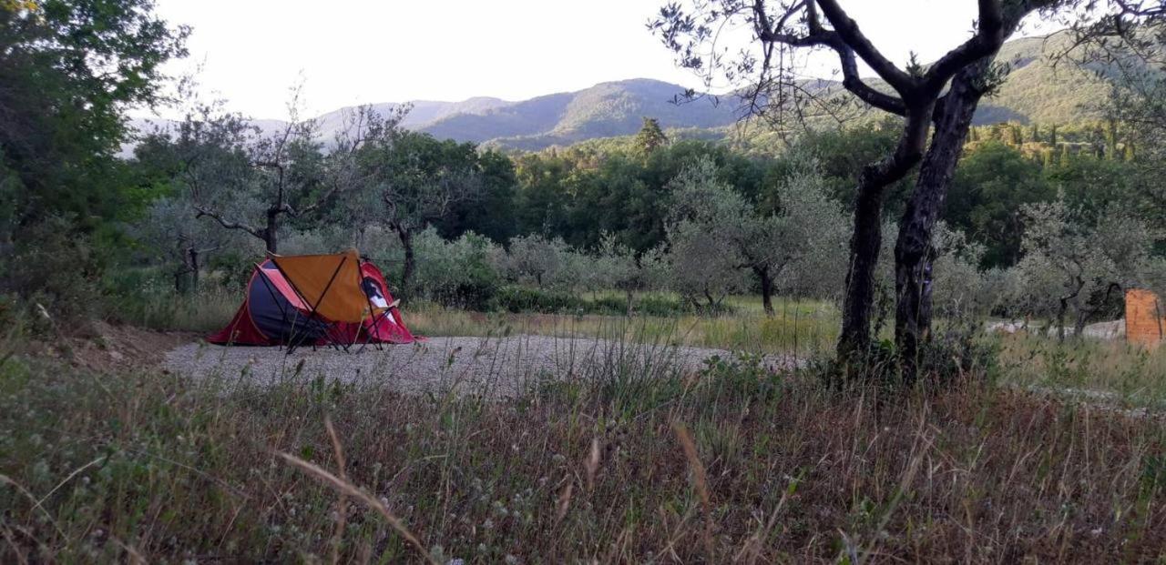 Agricampeggio Borgo Agna San Giustino Valdarno Kültér fotó